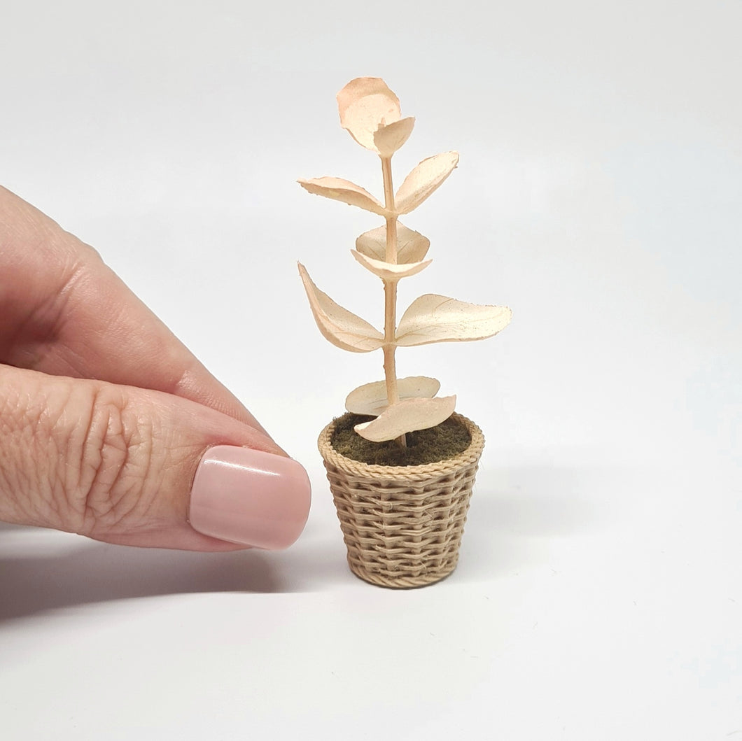 Dollhouse Boho Plant